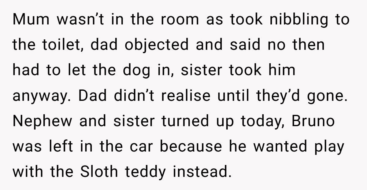 Woman Demands Childhood Teddy Back After Sister Gives It Away To Her Nephew
