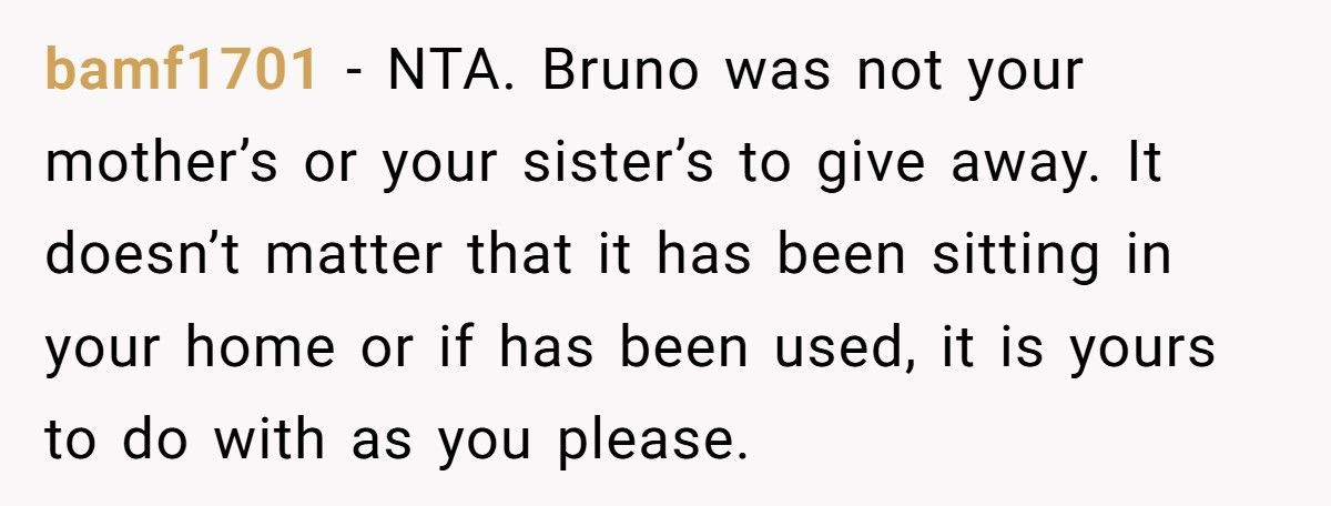 Woman Demands Childhood Teddy Back After Sister Gives It Away To Her Nephew