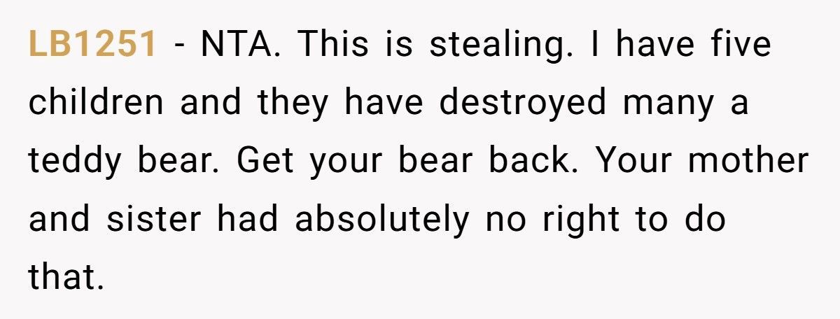 Woman Demands Childhood Teddy Back After Sister Gives It Away To Her Nephew