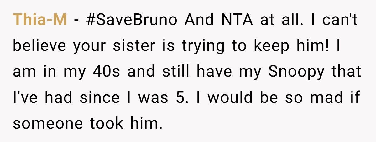 Woman Demands Childhood Teddy Back After Sister Gives It Away To Her Nephew