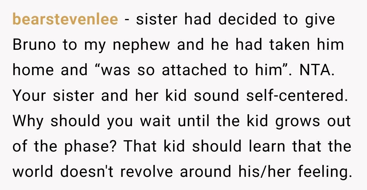 Woman Demands Childhood Teddy Back After Sister Gives It Away To Her Nephew