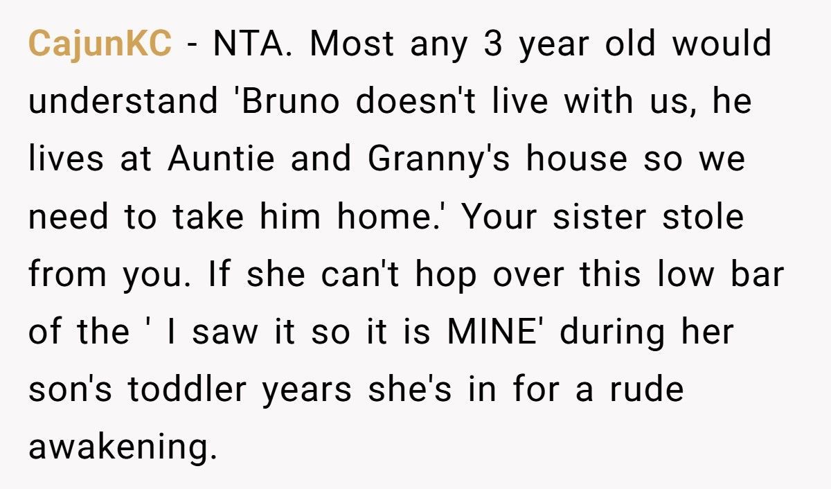 Woman Demands Childhood Teddy Back After Sister Gives It Away To Her Nephew