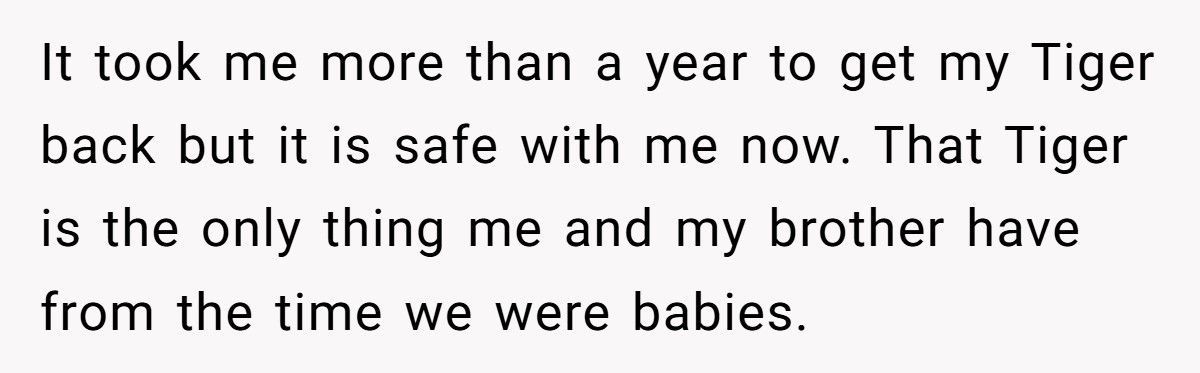 Woman Demands Childhood Teddy Back After Sister Gives It Away To Her Nephew