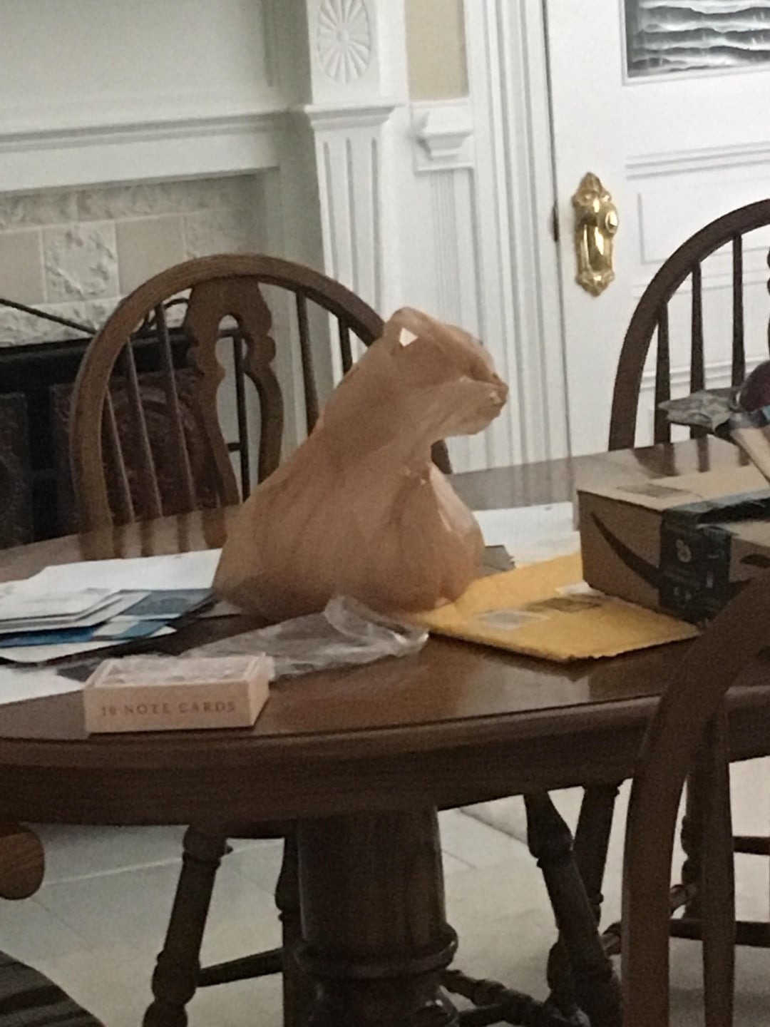 40 Deceiving Photos That Prove You Can’t Trust Your Eyes