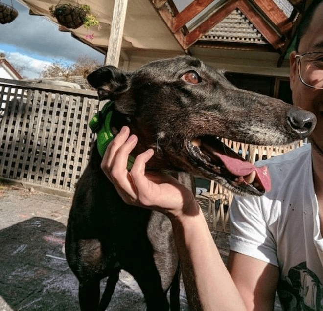 40 Deceiving Photos That Prove You Can’t Trust Your Eyes