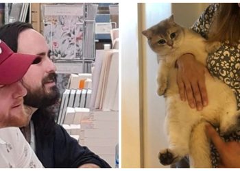 40 Deceiving Photos That Prove You Can’t Trust Your Eyes