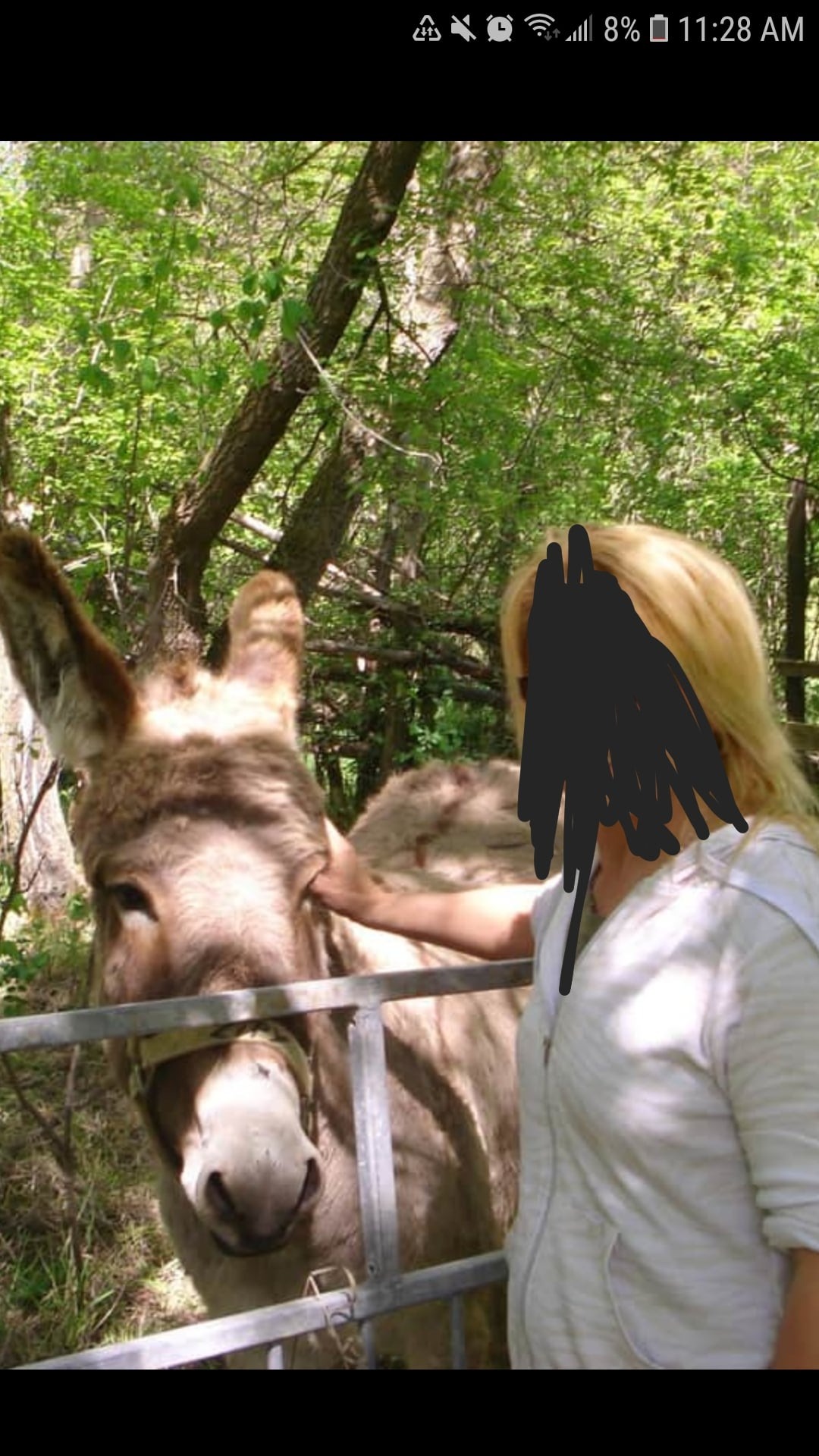 40 Deceiving Photos That Prove You Can’t Trust Your Eyes