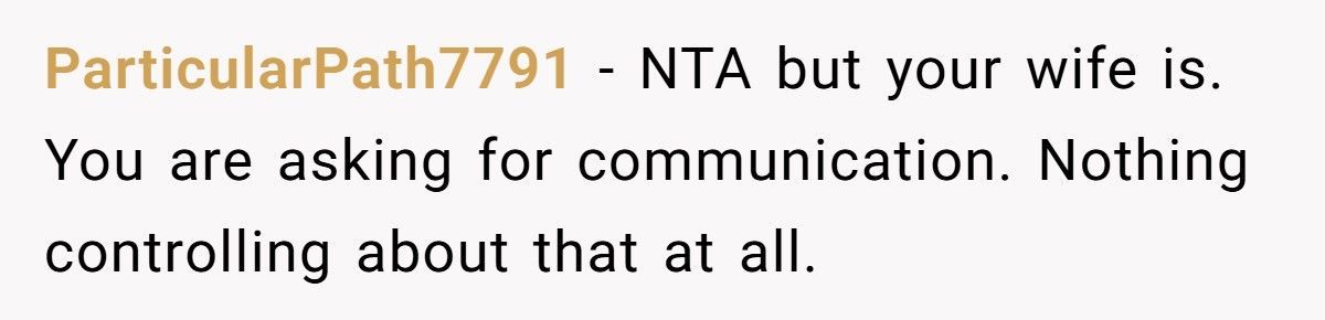 Husband Asks Wife For Simple Travel Texts, She Calls Him Controlling