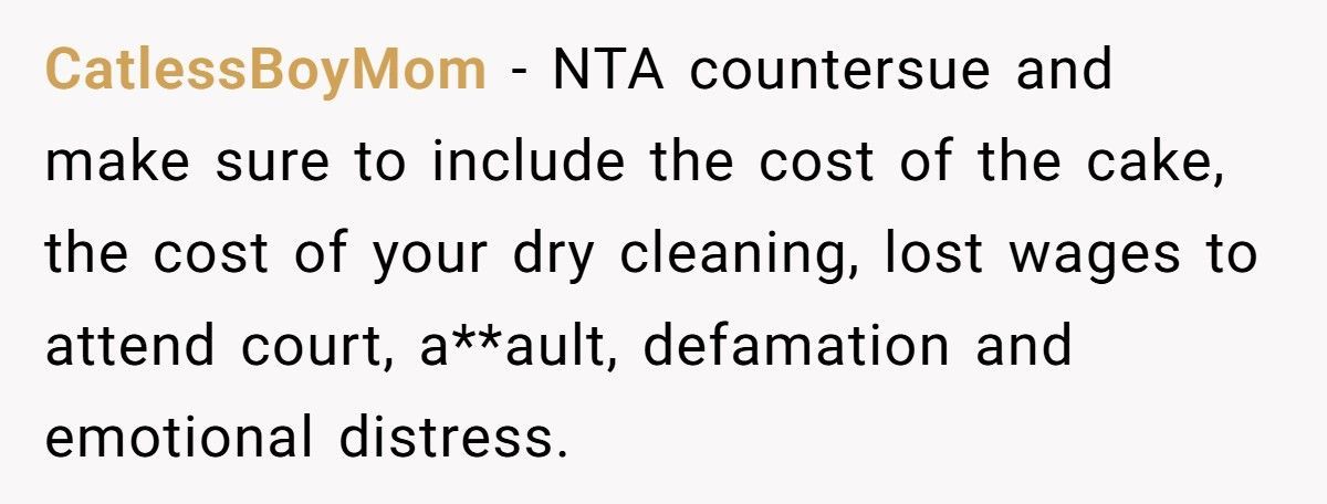 Woman Sues Man For $3,000 After Her Daughter Ruins His Cake