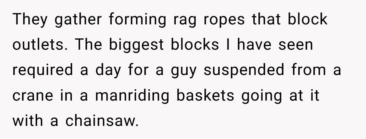 Girl Called ‘Gross’ For Disposing Of Tampon In Bathroom Trash Can, Dad Demands She ‘Hold It In’ Until Dinner