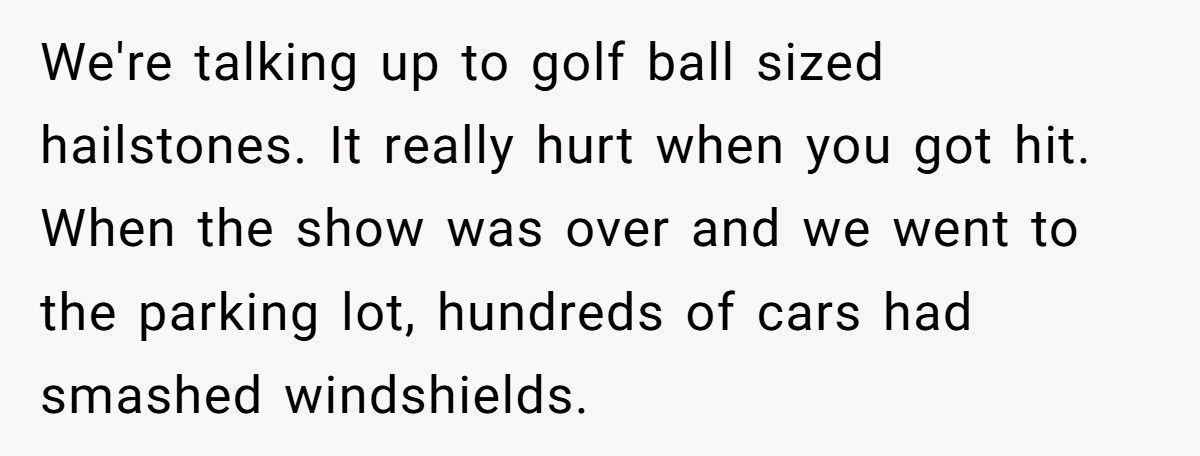 Tall Guy Gets Petty Revenge On Woman Who Opens Umbrella At Concert And Blocks Dozens Of Viewers Tall Guy Gets Petty Revenge On Woman Who Opens Umbrella At Concert And Blocks Dozens Of Viewers