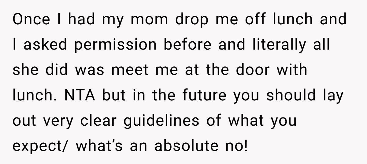 Parent Fires Babysitter After She Lets Her Mom Into The House Without Permission