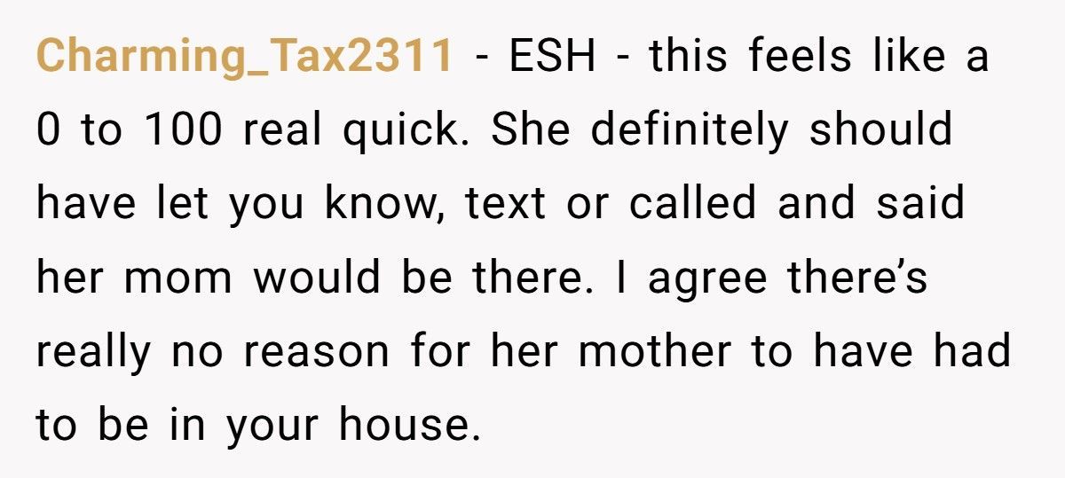 Parent Fires Babysitter After She Lets Her Mom Into The House Without Permission