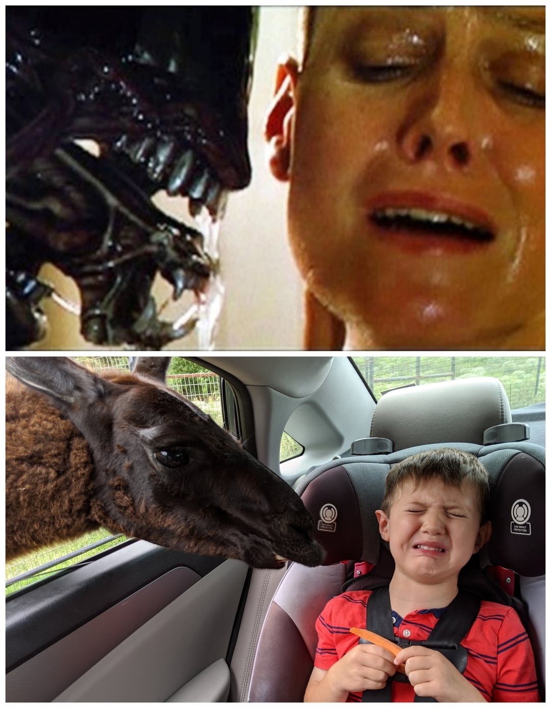 40+ Funny Parenting Pictures That Perfectly Capture The Chaos, Laughter, And Absurdity Of Raising Kids!