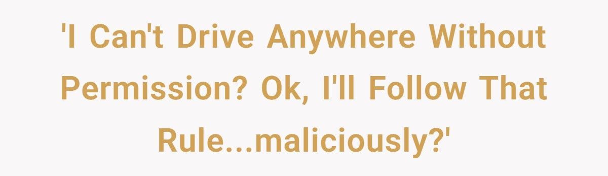 Parents Said He Couldn’t Drive Anywhere Without Permission, So He Followed The Rule To The Letter