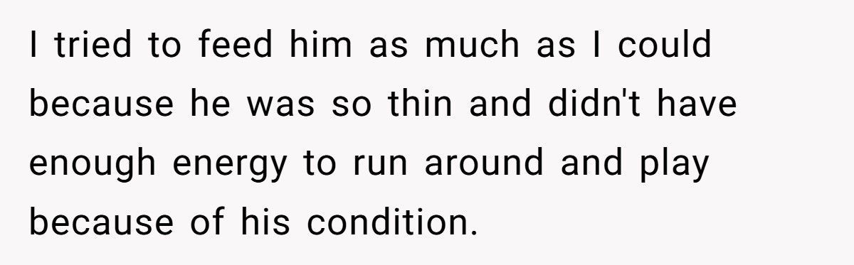 Woman Leaves Husband After Discovering He Let His Mother Steal Their Son’s Ashes