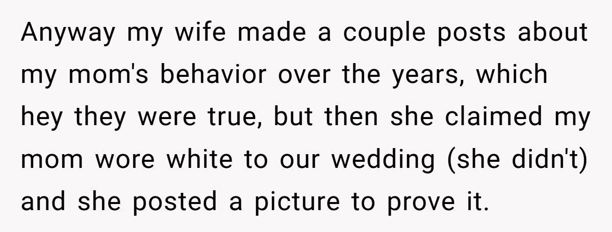 Wife Tries To Smear MIL Online, Husband Publicly Corrects Her And Sparks A Meltdown