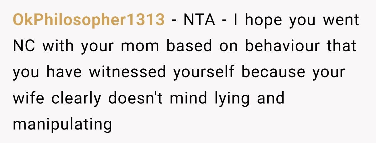 Wife Tries To Smear MIL Online, Husband Publicly Corrects Her And Sparks A Meltdown