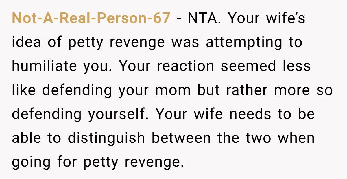 Wife Tries To Smear MIL Online, Husband Publicly Corrects Her And Sparks A Meltdown