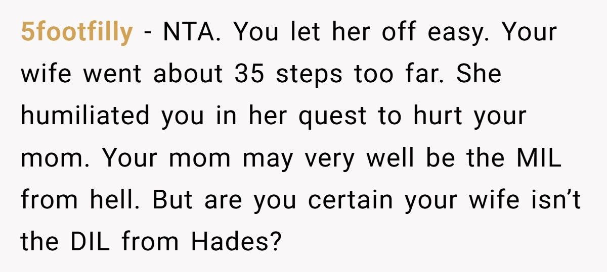 Wife Tries To Smear MIL Online, Husband Publicly Corrects Her And Sparks A Meltdown