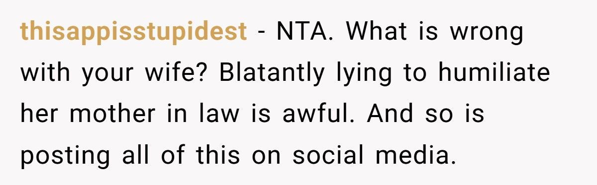 Wife Tries To Smear MIL Online, Husband Publicly Corrects Her And Sparks A Meltdown