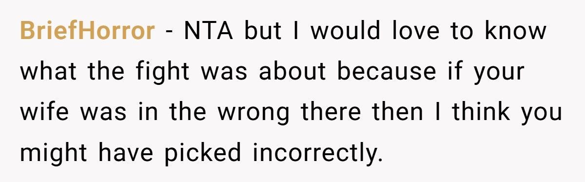 Wife Tries To Smear MIL Online, Husband Publicly Corrects Her And Sparks A Meltdown