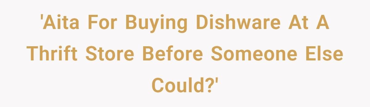 Reseller Freaks Out When Shopper Buys Items She Left Behind At Thrift Store Reseller Freaks Out When Shopper Buys Items She Left Behind At Thrift Store