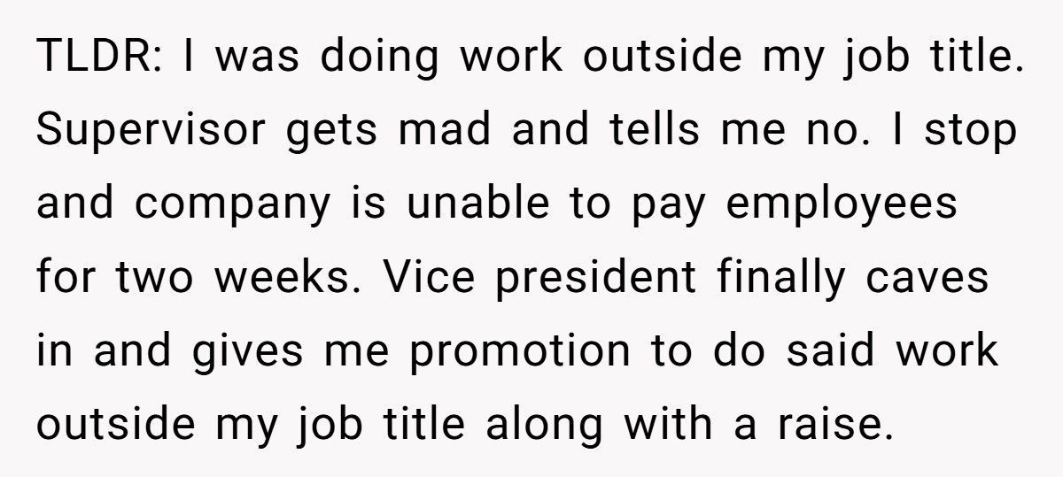 Boss Tells Employee To “Stick To Job Title”, Chaos Ensues When No One Gets Paid