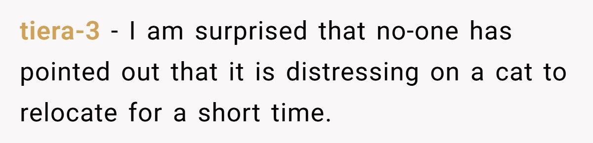 Wife Refuses To Leave Her Home With Her Kitten For In-Laws Who Hate Cats