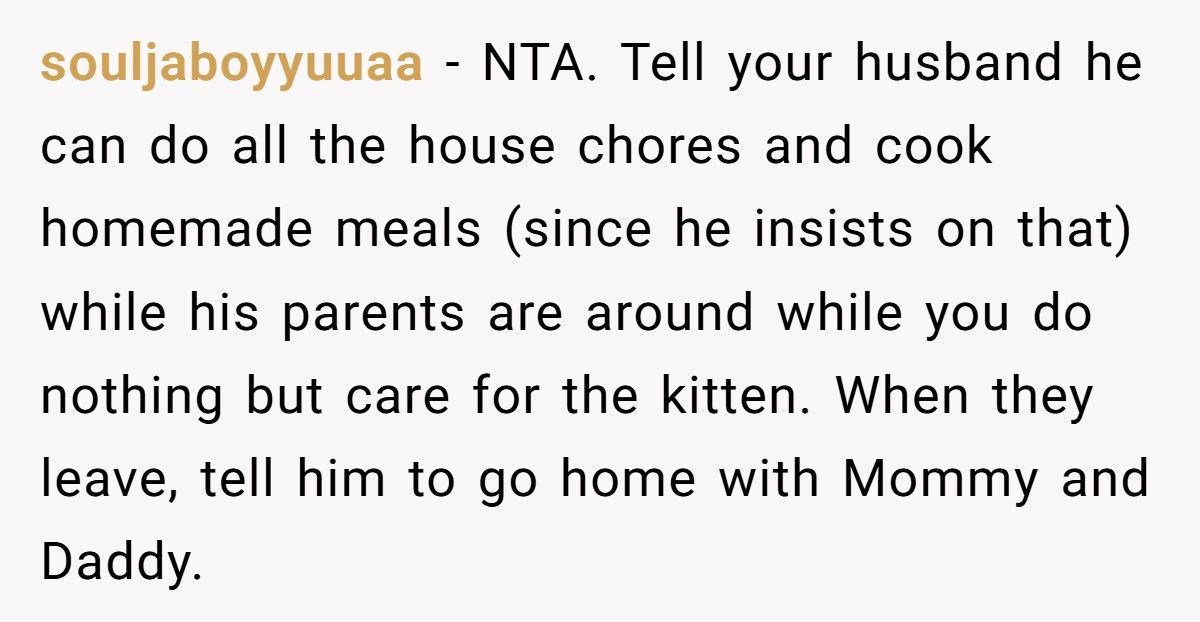 Wife Refuses To Leave Her Home With Her Kitten For In-Laws Who Hate Cats