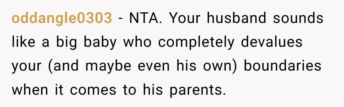 Wife Refuses To Leave Her Home With Her Kitten For In-Laws Who Hate Cats