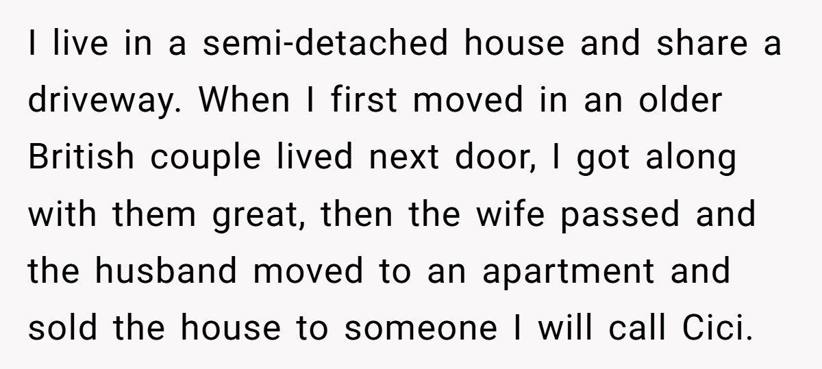 Man Installs Camera After Car Damage, Neighbour Sells House Within A Week