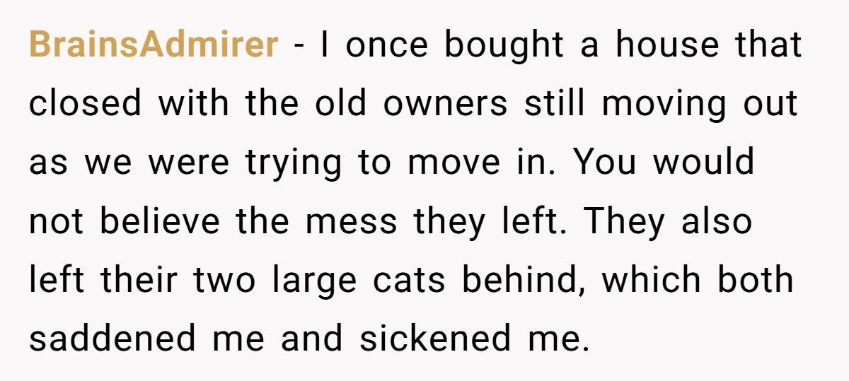 Man Installs Camera After Car Damage, Neighbour Sells House Within A Week