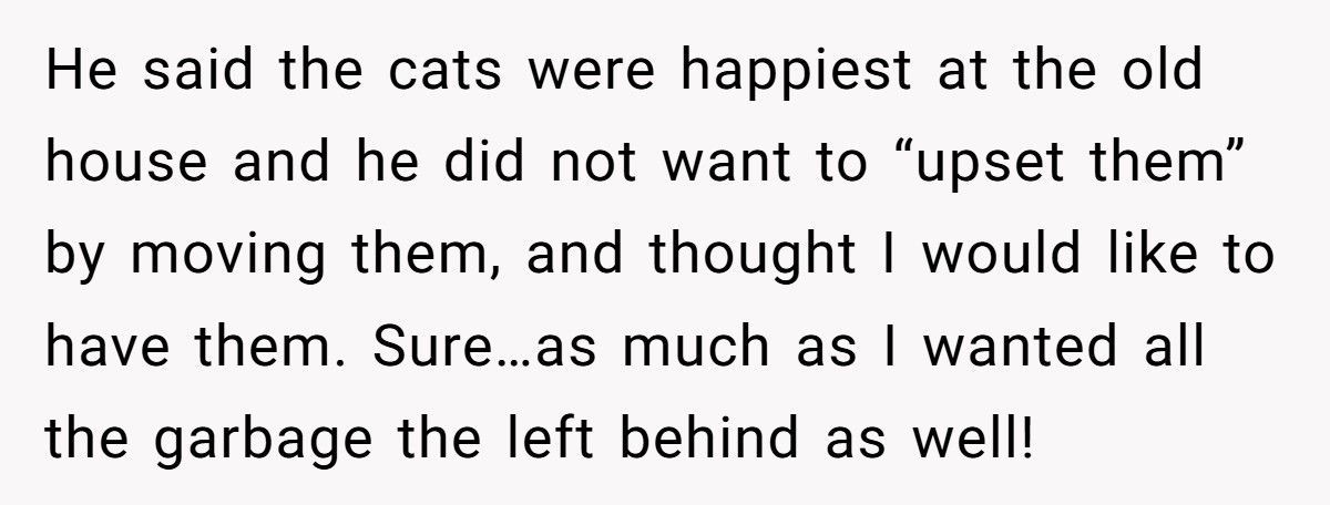 Man Installs Camera After Car Damage, Neighbour Sells House Within A Week