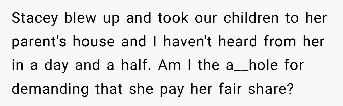 Man Demands His Wife Pay “Fair Share” While She’s Already Covering Most Of Their Kids’ Expenses