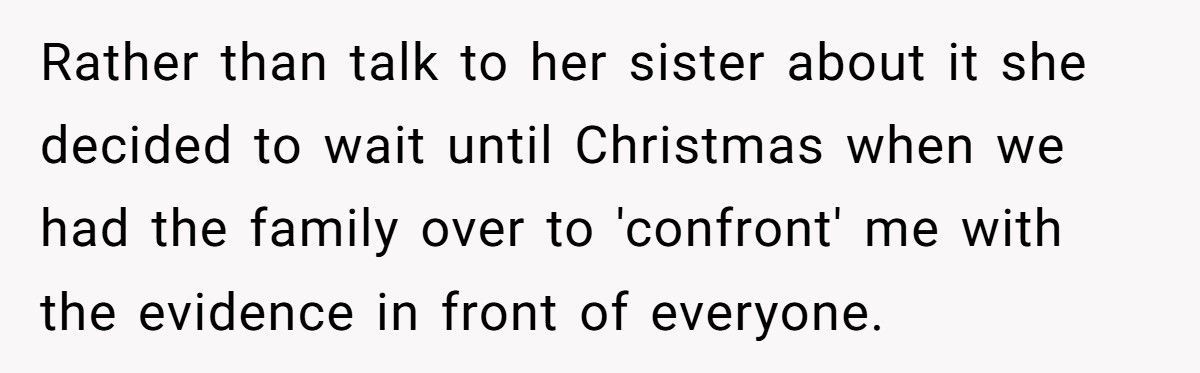 Sister-In-Law “Exposes” Brother-In-Law’s Affairs At Christmas, Doesn’t Expect Her Sister To Defend Him