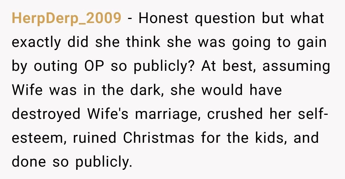 Sister-In-Law “Exposes” Brother-In-Law’s Affairs At Christmas, Doesn’t Expect Her Sister To Defend Him