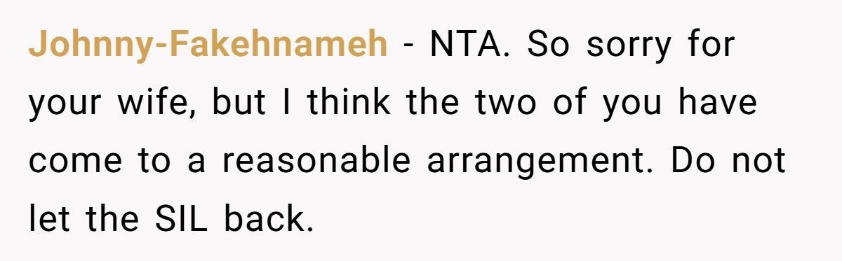Sister-In-Law “Exposes” Brother-In-Law’s Affairs At Christmas, Doesn’t Expect Her Sister To Defend Him