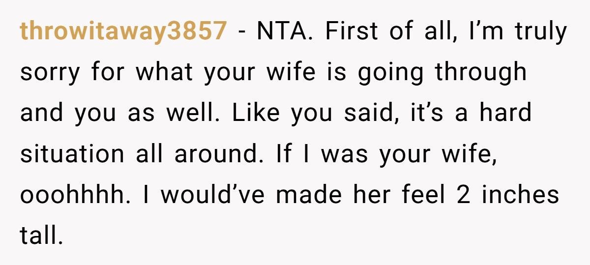 Sister-In-Law “Exposes” Brother-In-Law’s Affairs At Christmas, Doesn’t Expect Her Sister To Defend Him