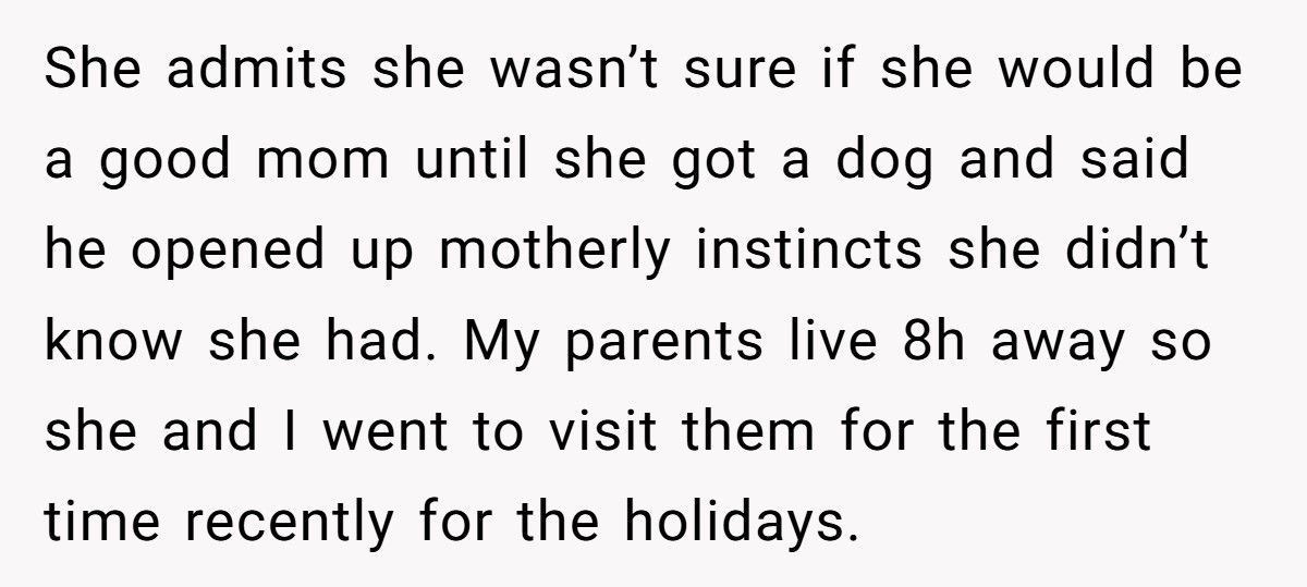 Girlfriend Snaps At Boyfriend’s Dad After He Demands She “Take Care Of His Son”