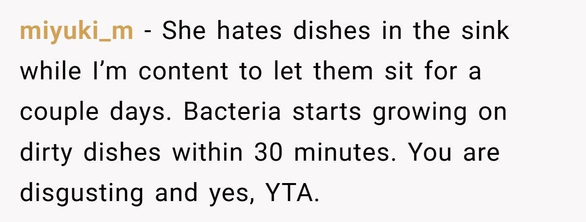 Stay-At-Home Dad Leaves Dishes For Days, Calls Wife Insane For Demanding Clean House