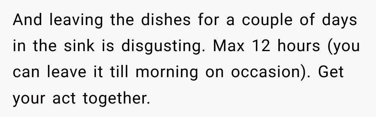 Stay-At-Home Dad Leaves Dishes For Days, Calls Wife Insane For Demanding Clean House