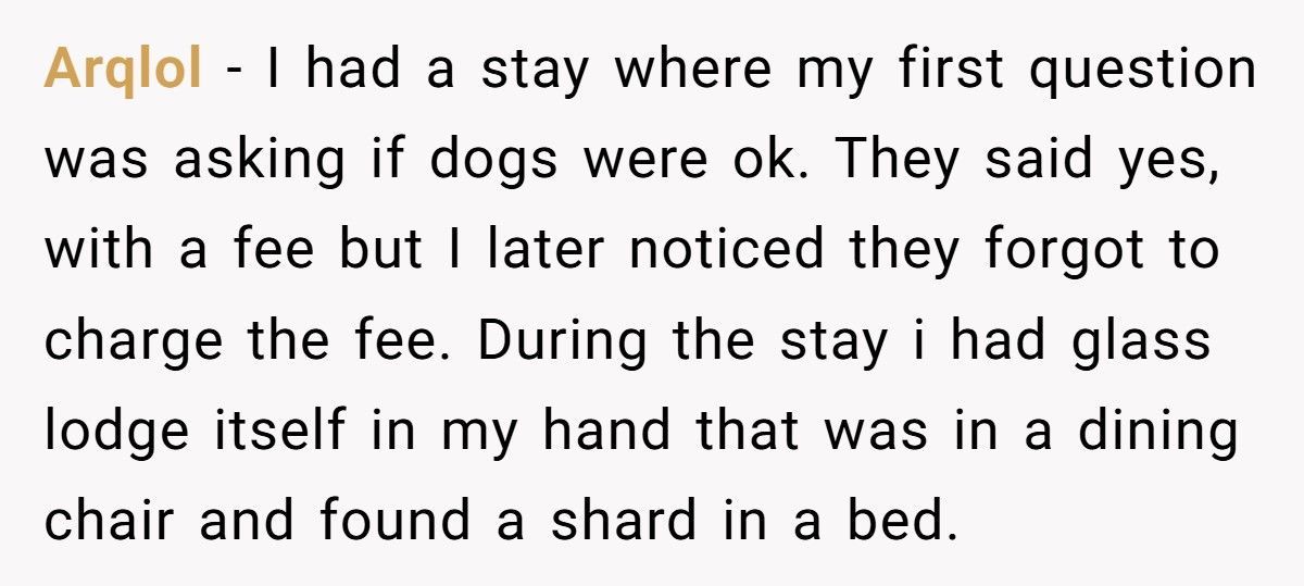 Airbnb Host Tried To Shame Guest In Review, Lost $200 Instead