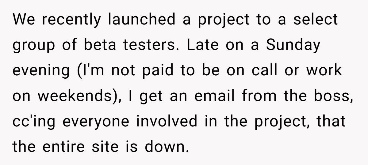 Boss CCs The Whole Team About A “Crash”, Employee Reply-Alls That He Can’t Type A URL