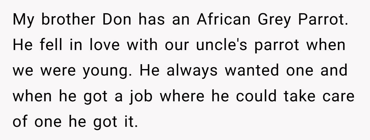 Brother Leaves Sister A Parrot In His Will, She Refuses To Keep It Brother Leaves Sister A Parrot In His Will, She Refuses To Keep It