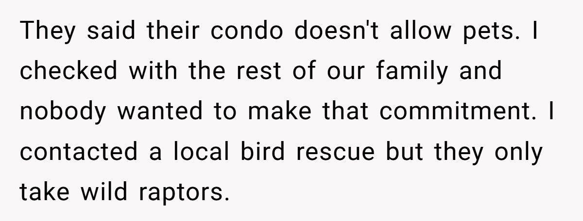 Brother Leaves Sister A Parrot In His Will, She Refuses To Keep It Brother Leaves Sister A Parrot In His Will, She Refuses To Keep It