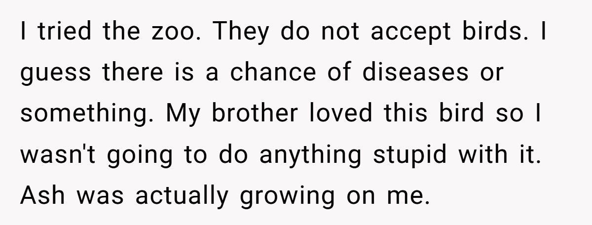Brother Leaves Sister A Parrot In His Will, She Refuses To Keep It Brother Leaves Sister A Parrot In His Will, She Refuses To Keep It