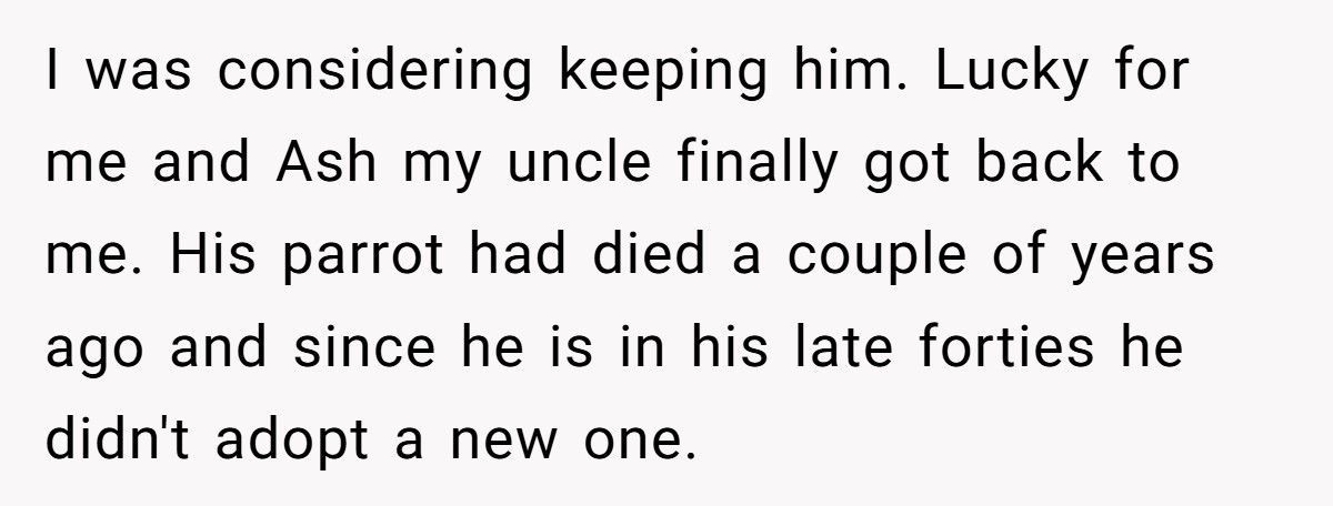 Brother Leaves Sister A Parrot In His Will, She Refuses To Keep It Brother Leaves Sister A Parrot In His Will, She Refuses To Keep It