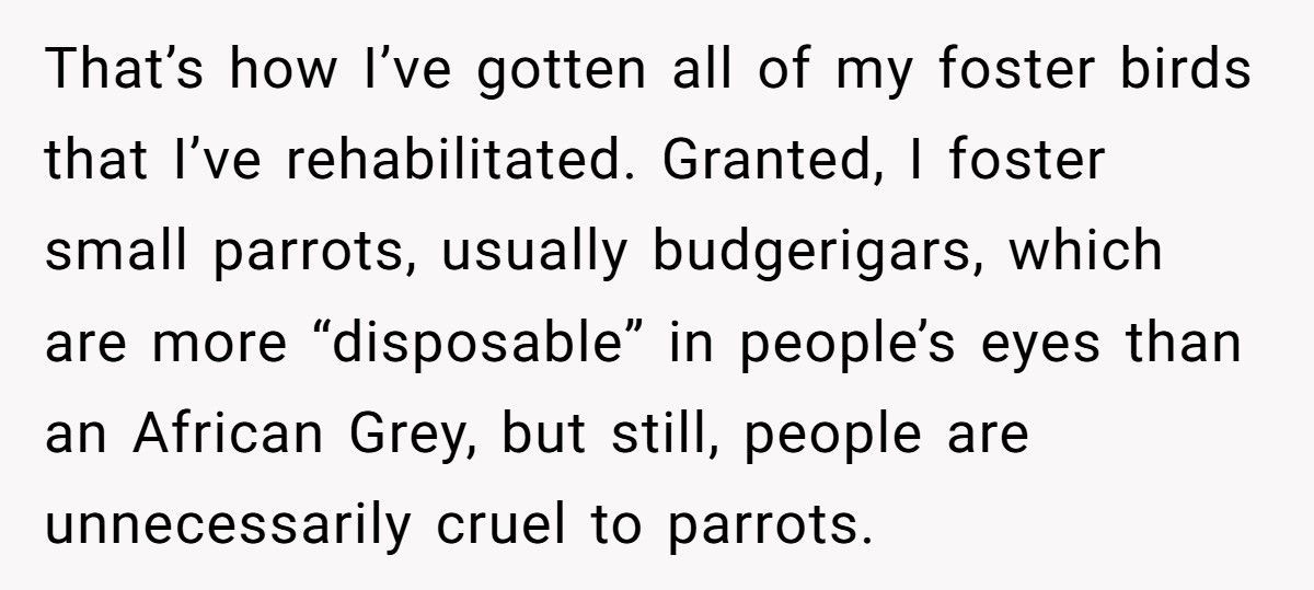 Brother Leaves Sister A Parrot In His Will, She Refuses To Keep It Brother Leaves Sister A Parrot In His Will, She Refuses To Keep It