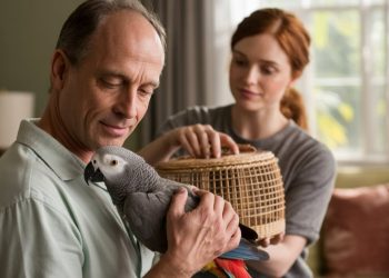 Brother Leaves Sister A Parrot In His Will, She Refuses To Keep It Brother Leaves Sister A Parrot In His Will, She Refuses To Keep It